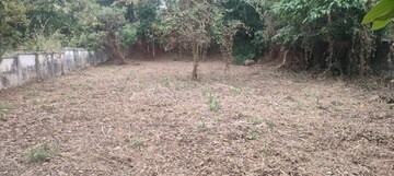 Plot Area in  Plot at Velappaya – for Sale