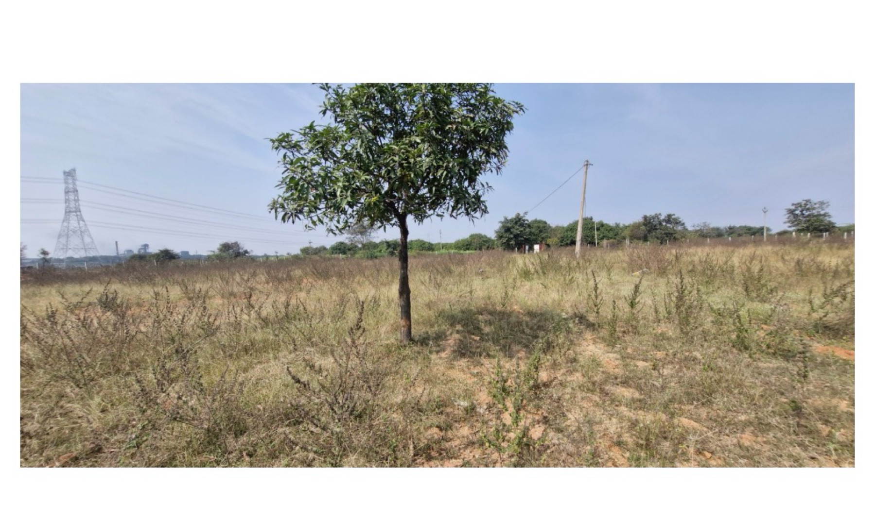 Plot For Sale in Siva Parvati 