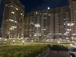 2 BHK 972 Sq.Ft. Apartment in Ahad Serenity