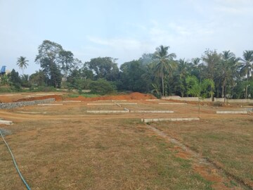 Plot Area in  Plot at Mundur – for Sale