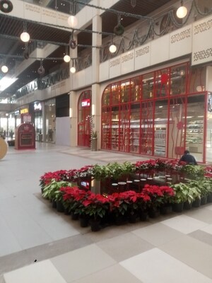  Shop For Sale in Elan Epic, Sector 70