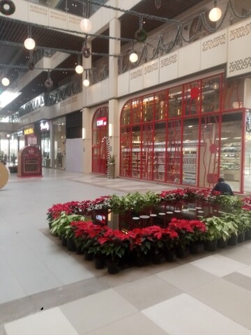  Shop For Sale in Elan Epic, Sector 70