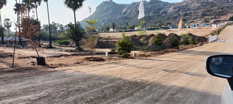 undefined, mazidpur  250 Sq.Yd. Plot In Mazidpur Hyderabad 9699833