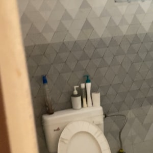 Bathroom in 2 BHK Independent House at Jaipuria Plaza, Sector 26 – for Rent