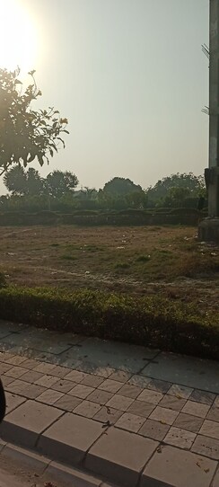 Plot For Sale in Sector 98
