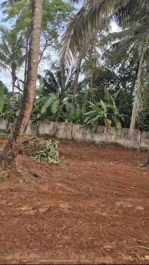 Plot Area in  Land at Marathakkara – for Sale