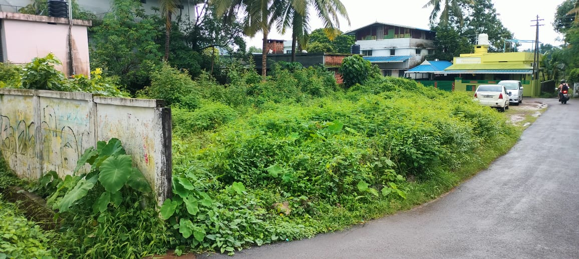 Plot For Sale in Chelakottukara