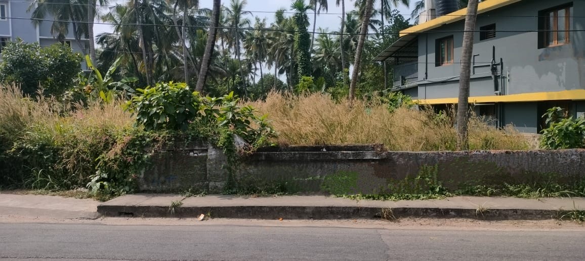 Plot For Sale in Chelakottukara