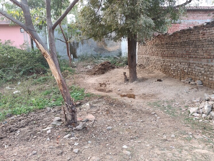 undefined, the-emporium  130 Sq.Yd. Plot In Sector 110a Gurgaon 9702223