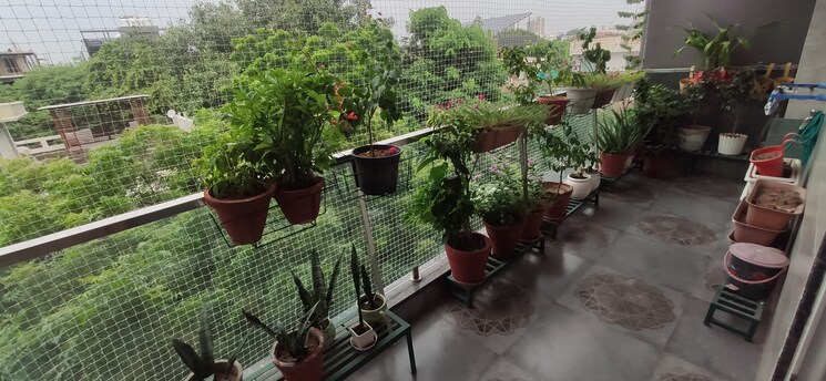 Balcony, palam vihar 4 Bedroom 3000 Sq.Ft. Builder Floor In Palam Vihar Gurgaon 9702426