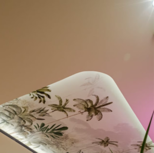 Furnished Amenities in 4 BHK Apartment at SNN Clermont, Veerannapalya – for Rent