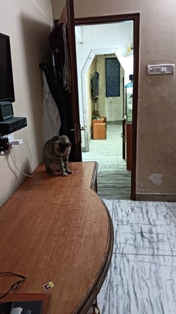 Furnished Amenities in 1 BHK Apartment at Himalaya CHS Asalfa, Asalpha – for Sale