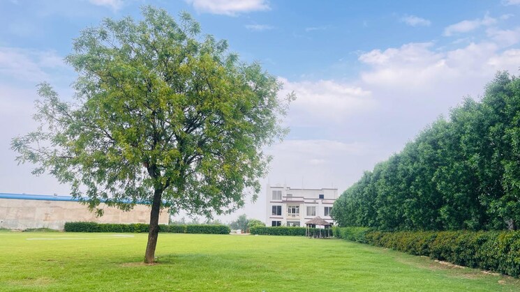 Garden, rahmatnagar  1518 Sq.Ft. Plot In Rahmatnagar Lucknow 9703602