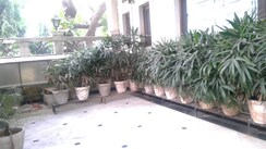 6 BHK + Pooja Room,Servant Room,Study Room,Extra Room Villa For Sale in Nirvana Country Birch Court
