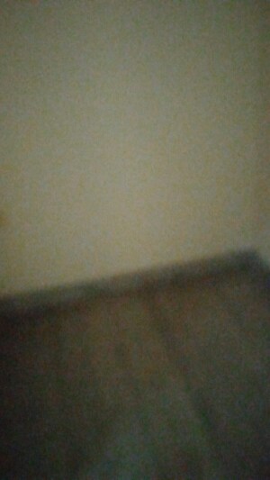 Furnished Amenities in 1 BHK Independent House at Sector 14 – for Rent