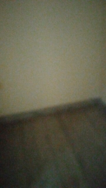 Furnished Amenities in 1 BHK Independent House at Sector 14 – for Rent