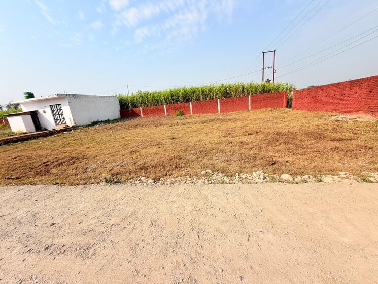 undefined, badripur  105 Sq.Yd. Plot In Badripur Dehradun 9704129