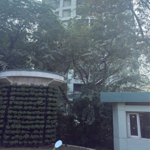 1.5 BHK Apartment – Exterior View View at Ansal Celebrity Suites, Choma - for Rent