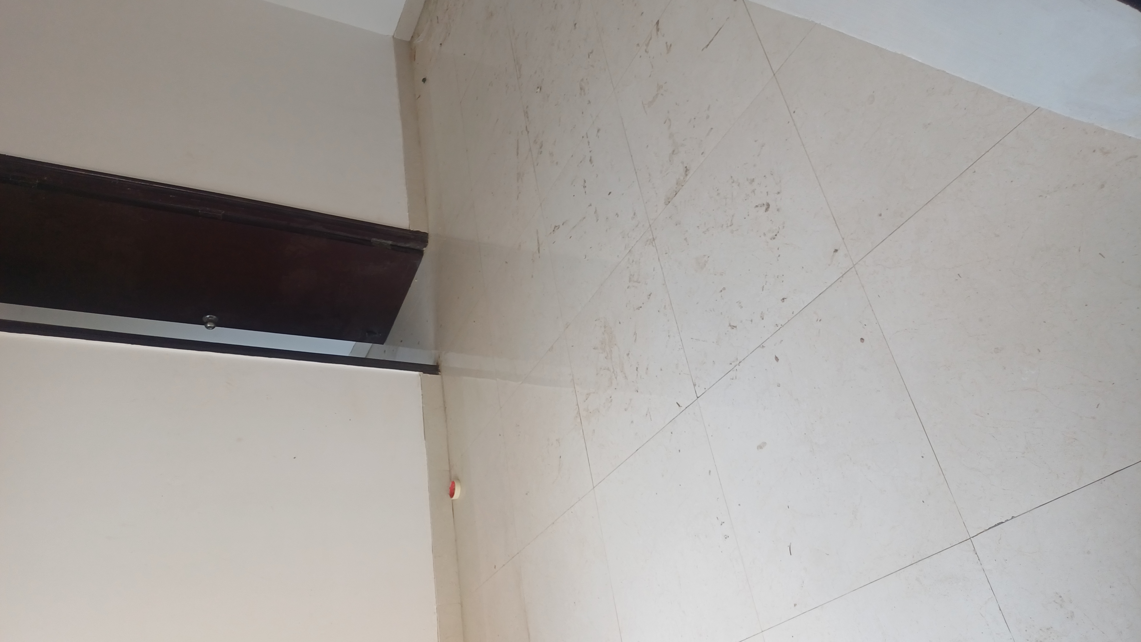 1.5 BHK + Study Room Apartment For Rent in Signature The Serenas