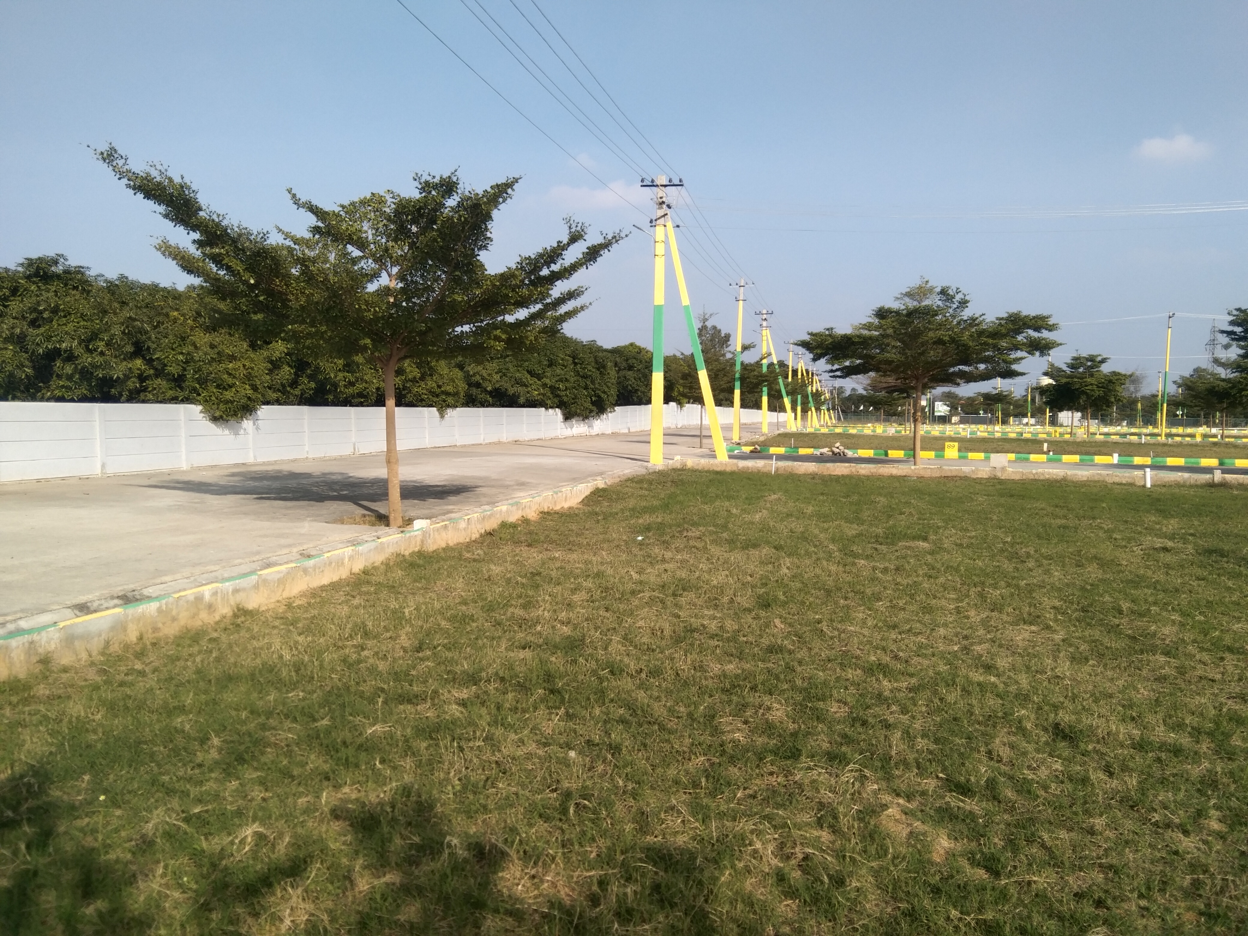 Plot For Sale in Villa Plots Are Available