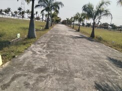 Plot For Sale in Villa Plots Are Available