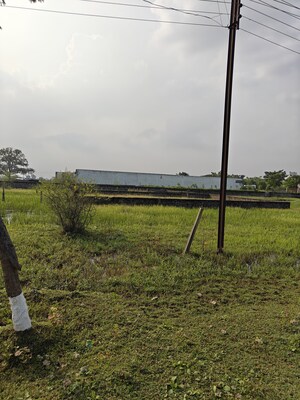 Plot Area in  Plot at Dunda – for Sale