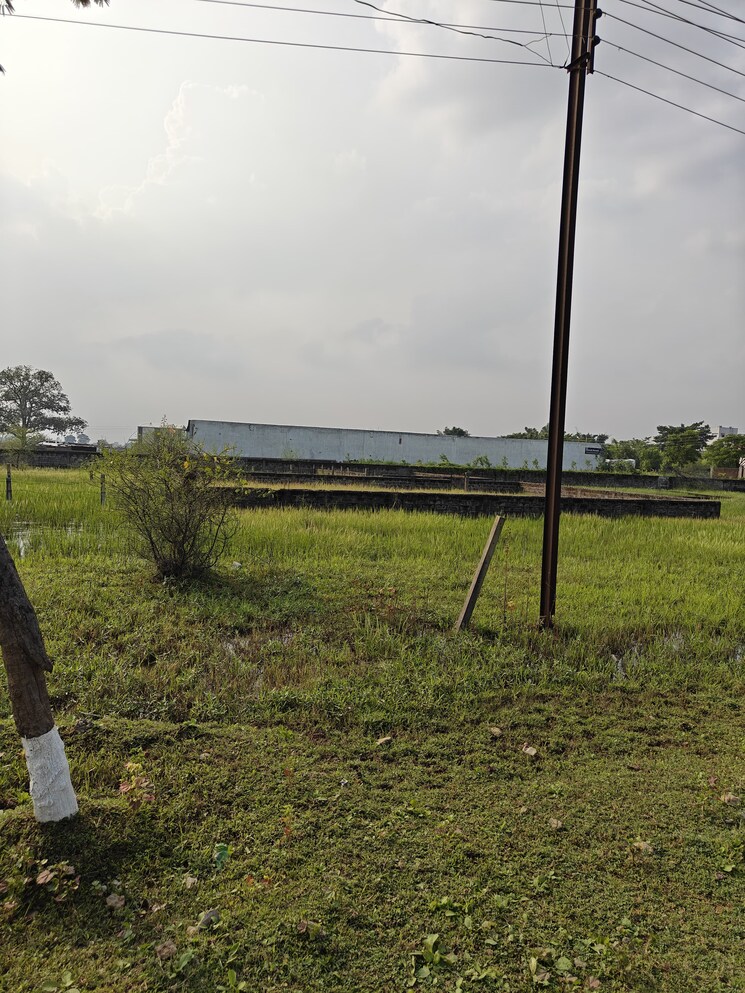 undefined, dunda  1450 Sq.Ft. Plot In Dunda Raipur 9704633