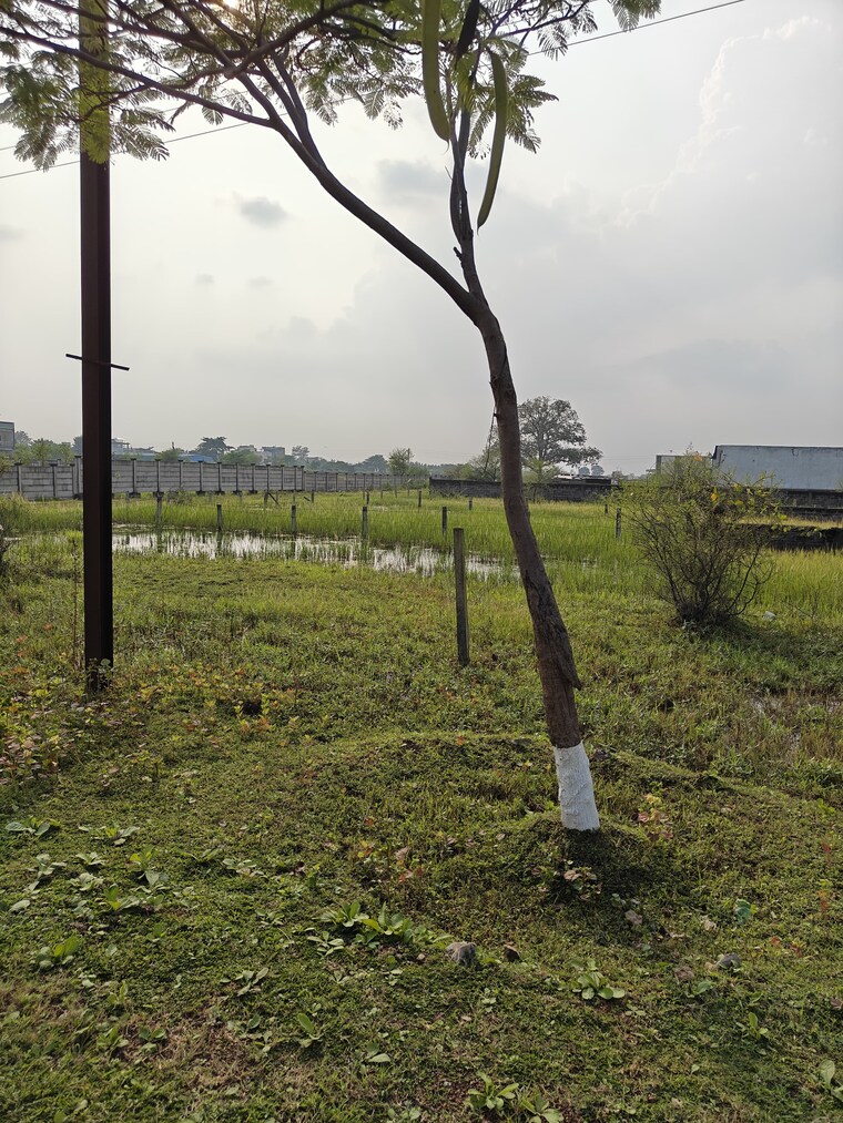 undefined, dunda  1450 Sq.Ft. Plot In Dunda Raipur 9704633