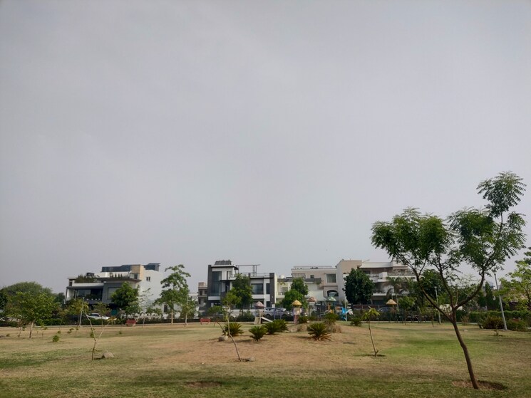 undefined, mullanpur  200 Sq.Yd. Plot In Mullanpur Mohali 9704703