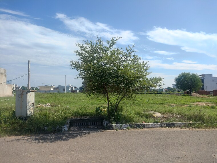 undefined, mullanpur  200 Sq.Yd. Plot In Mullanpur Mohali 9704703