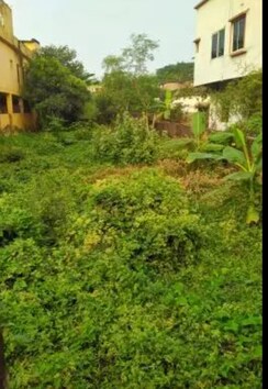 Plot For Sale in Sector 31