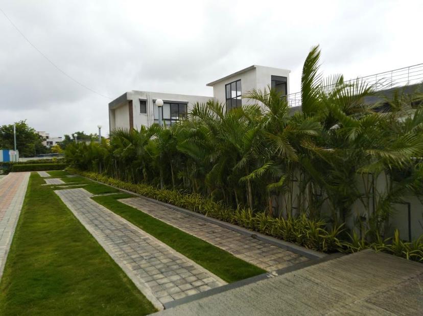 2 BHK 1200 Sq.Ft. Apartment in Vascon Citron Phase 1