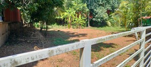 Plot For Sale in Punkunnam