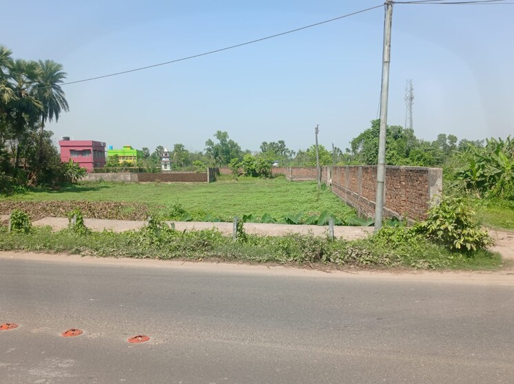Garden, amtala baruipur road Commercial Land 20880 Sq.Ft. In AmtalA Baruipur Road Kolkata 9704894