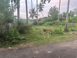 Plot Area in  Plot at Olarikara – for Sale