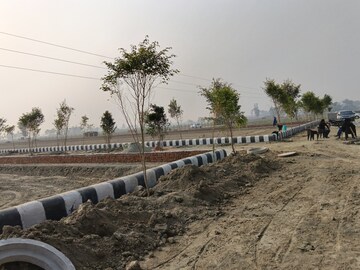 Plot Area in  Plot at Gosainganj – for Sale