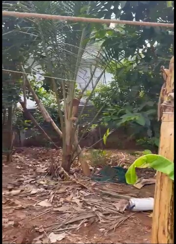 Balcony in  Plot at Viyyur – for Sale