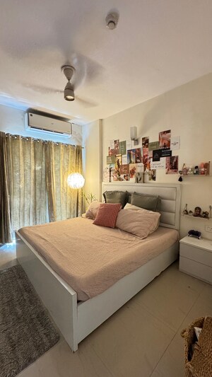 1 BHK Apartment For Rent in Spectrum@Metro, Sector 75