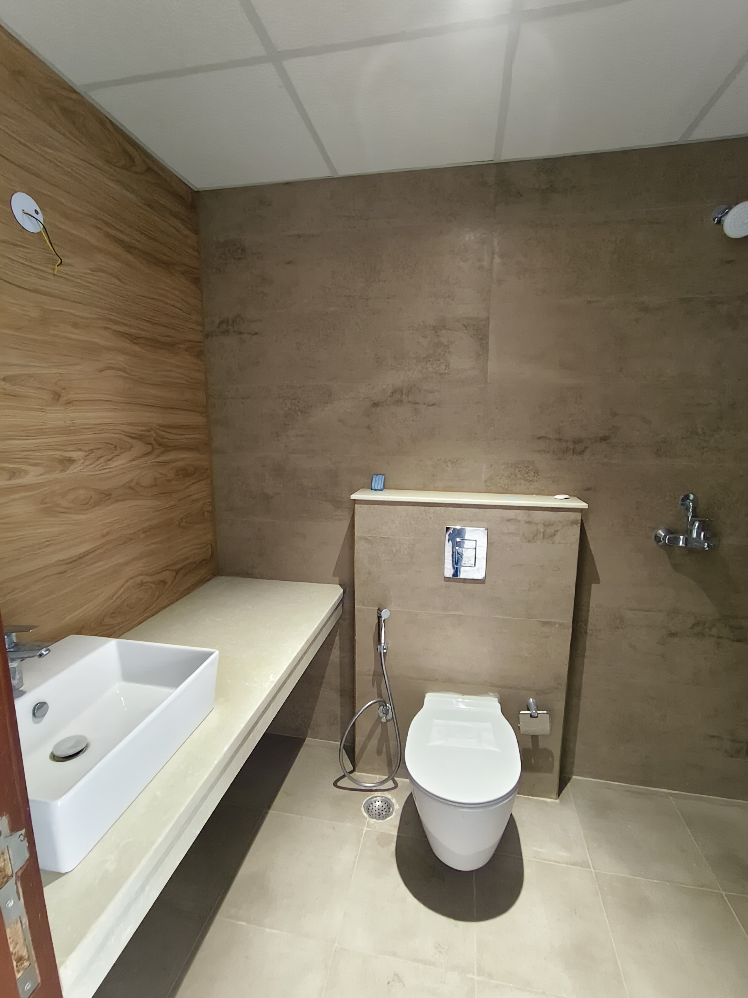 3 BHK Apartment For Rent in Ace Starlit