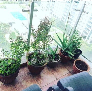 Balcony in 1 BHK Apartment at Megapolis Sparklet, Hinjewadi – for Sale