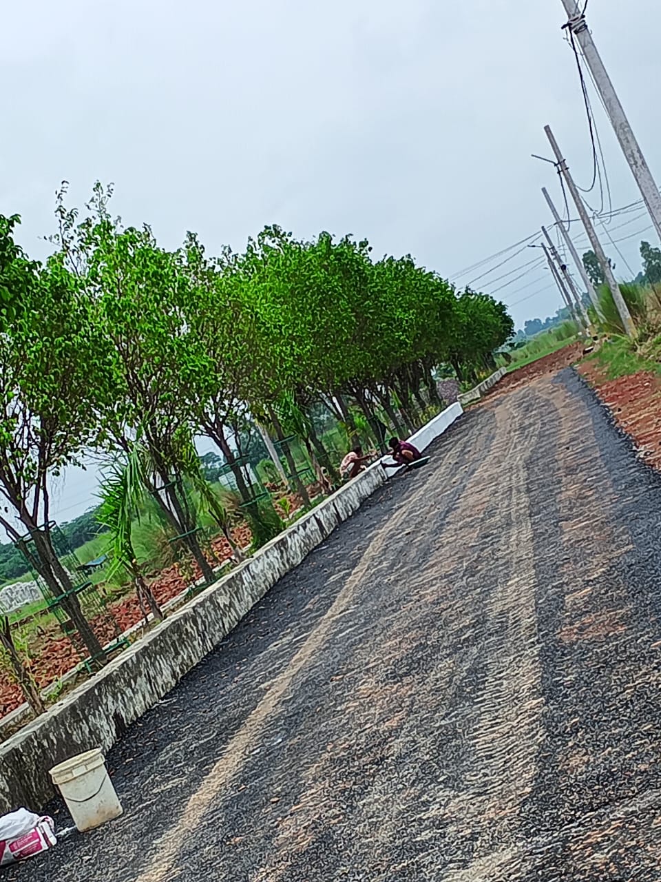 Plot For Sale in Swaraaj The Villagio