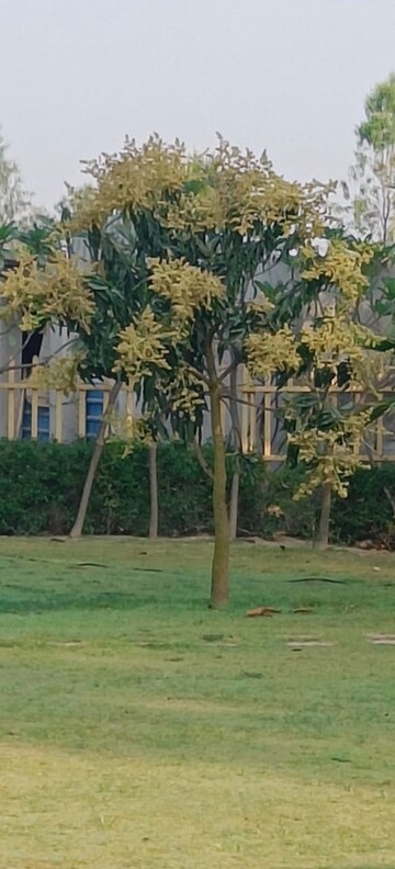  Plot – Garden View at Swaraaj The Villagio, Mohanlalganj - for Sale