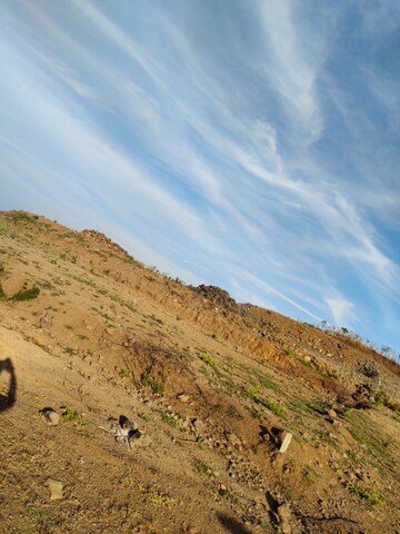  Land For Sale in Mhasrul Gaon