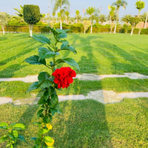  Plot – Garden View at Wing Lucknow Greens Villas, Arjunganj - for Sale