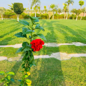 Plot – Garden View at Wing Lucknow Greens Villas, Arjunganj - for Sale