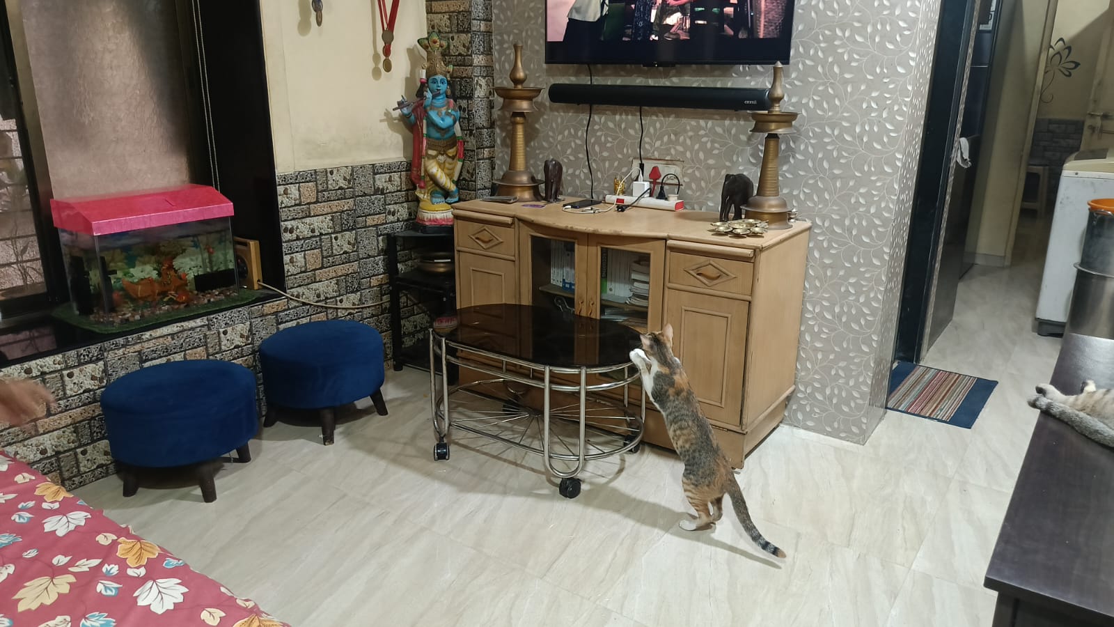 1 BHK + Pooja Room Apartment For Rent in Mantra Chs 