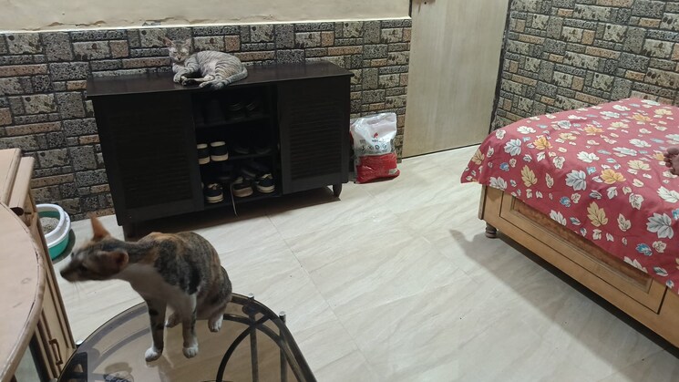  Parking, dombivli west 1 Bedroom 560 Sq.Ft. Apartment In Dombivli West Thane 9705693