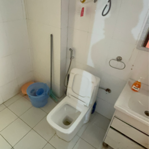 Bathroom in 3.5 BHK Apartment at Gardenia Grace, Sector 61 – for Rent
