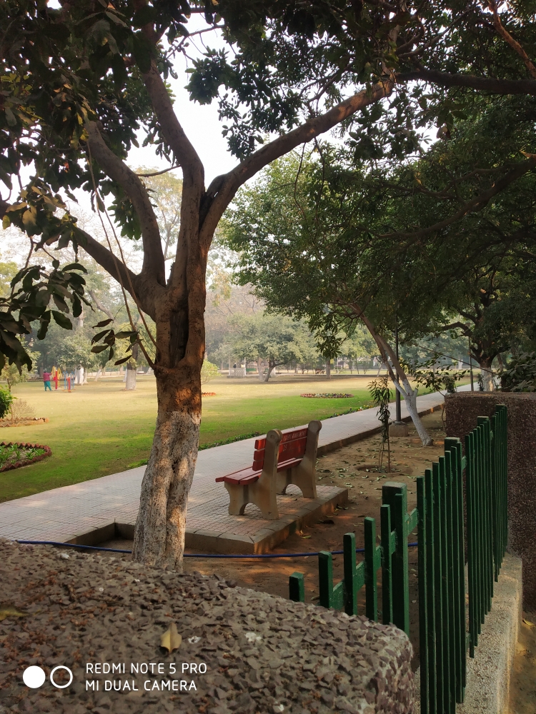 4 BHK + Servant Room Builder Floor For Sale in Unitech Arcadia