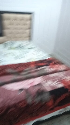 Bedroom in 1 BHK Builder Floor at Lajpat Nagar ii – for Rent